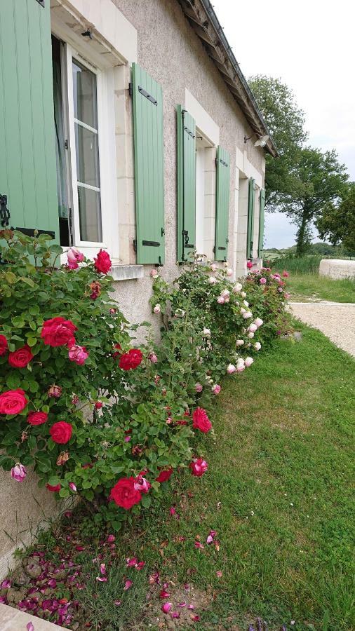 فيلا Longere Du Sud Touraine Au Coeur Du Val De Loire Saint-Jean-Saint-Germain المظهر الخارجي الصورة