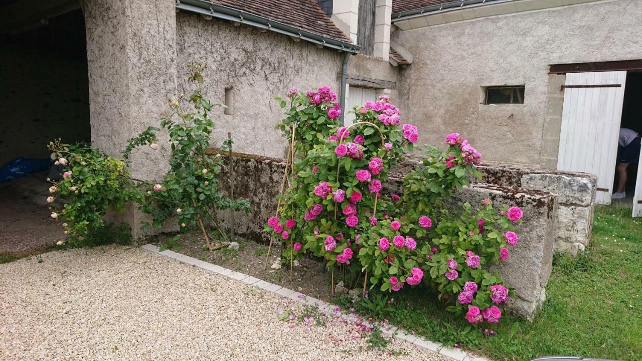 فيلا Longere Du Sud Touraine Au Coeur Du Val De Loire Saint-Jean-Saint-Germain المظهر الخارجي الصورة